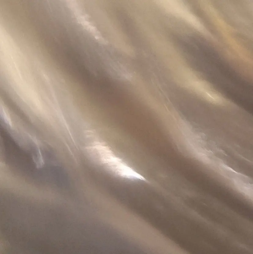 vif chisatoの掲載