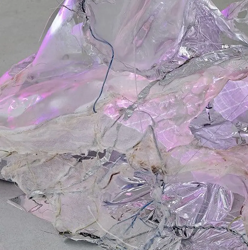 shiba tomomiの掲載