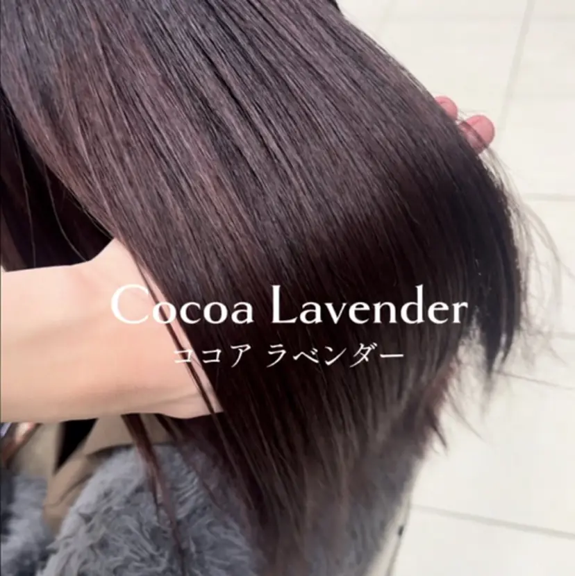 佐藤 壮也の掲載