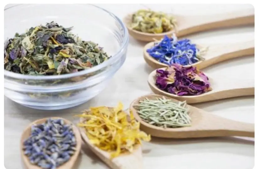 水乃 ひかりの掲載