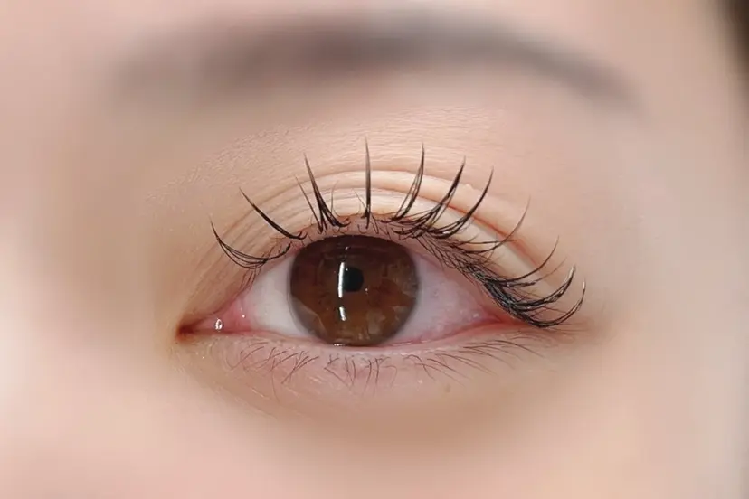 🪼ひとみマツパ 特化半個室菊川店🪼の掲載