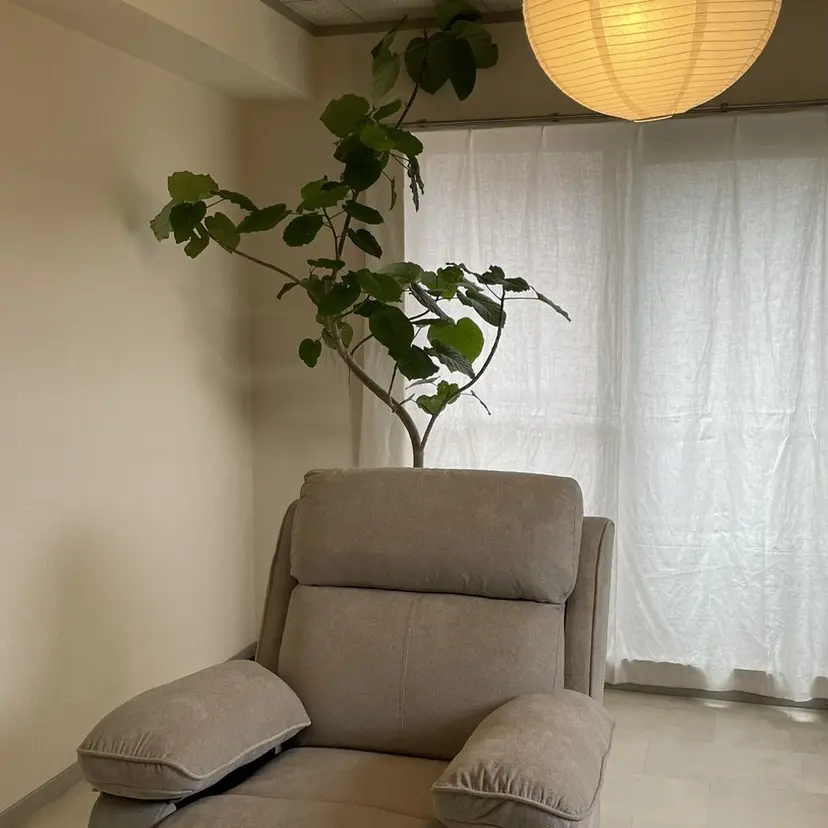 MOON .の掲載