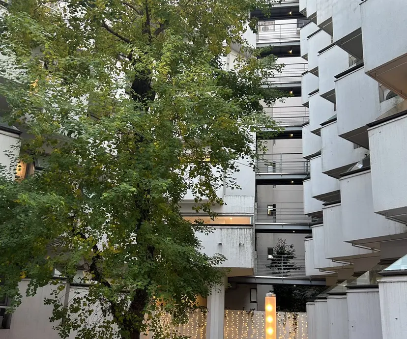 DIAMOND BEAUTYの掲載