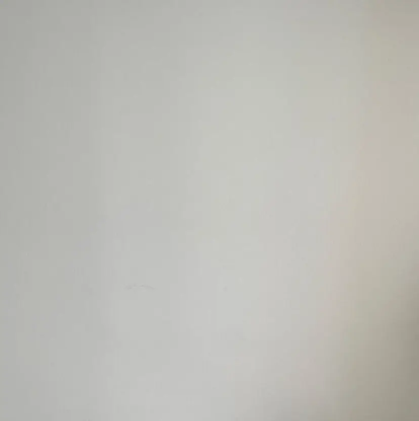 カラーモデル募集🩰 Abe Amiの掲載