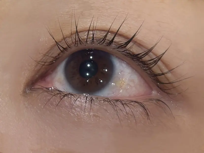 明才地 七菜の掲載