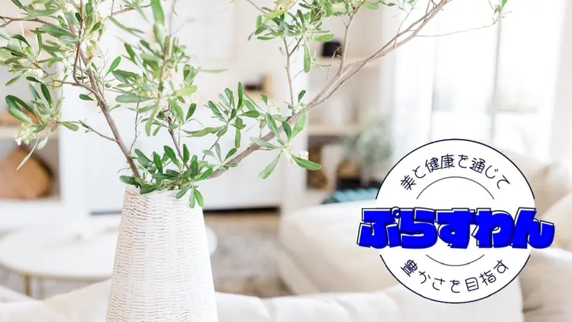 ﾘﾝﾊﾟｴｽﾃ 🌻ぷらすわん🌻の掲載