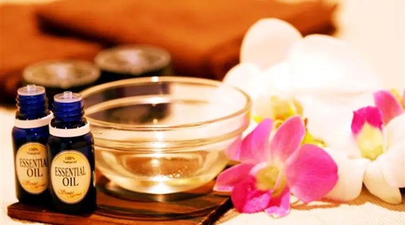 鈴木 愛花の掲載