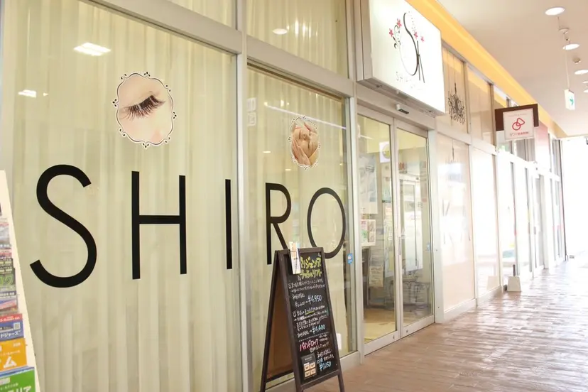 プラチナムブロウ ミサキの掲載