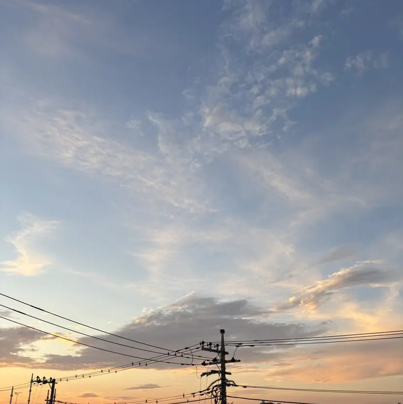 韓国風/艶髪/カラー 🦋kokona🦋の掲載