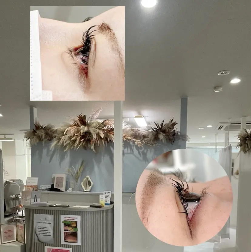 ツチモト ミユウの掲載
