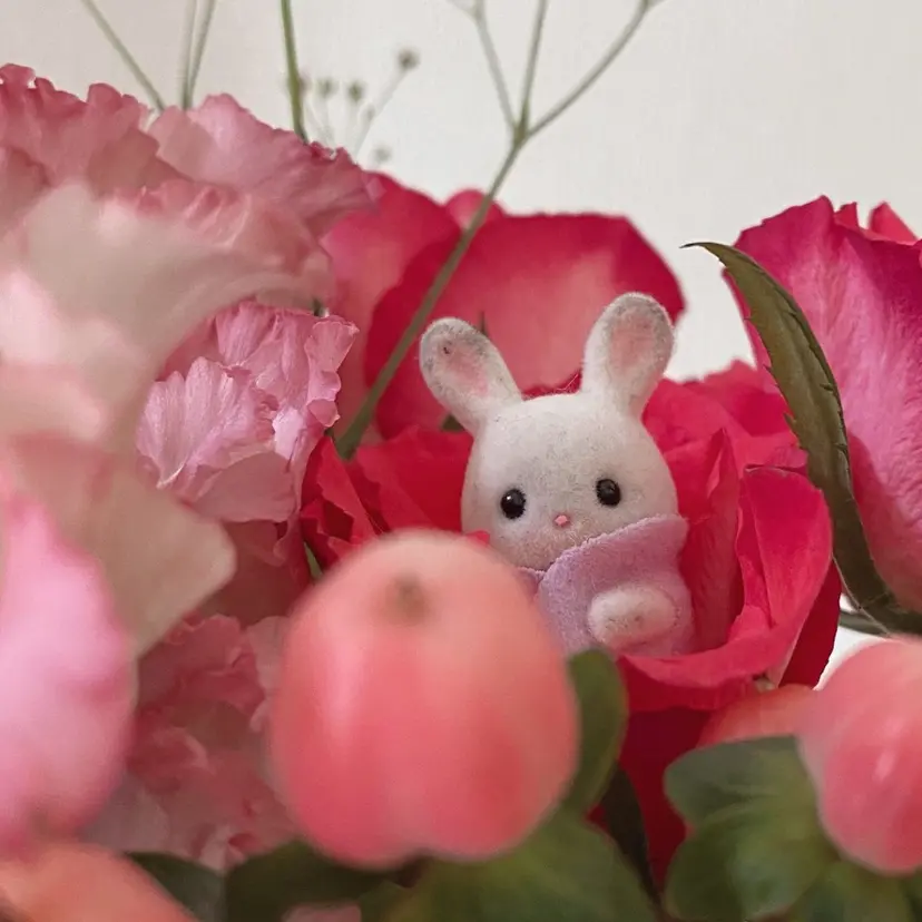 𝘼𝙮𝙖𝙠𝙖 ♡の掲載