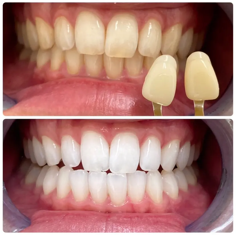 杉村 彩音の掲載