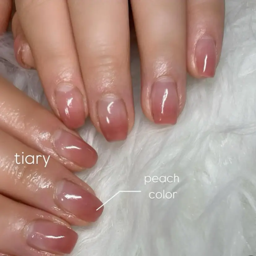 Ｔｉａｒｙ. ａｃｏの掲載