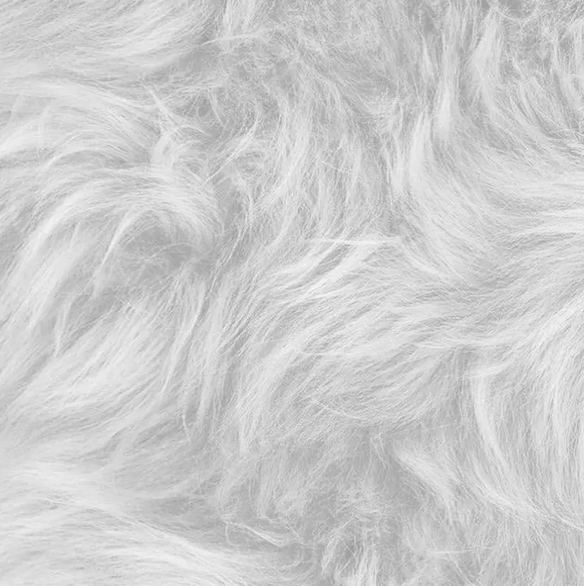 コノミ🪞銀座/ 韓国×透明感カラーの掲載