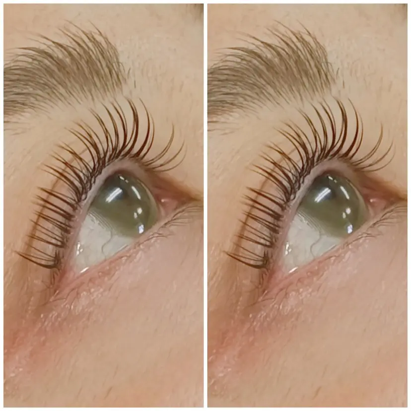 狩野 　美佳の掲載