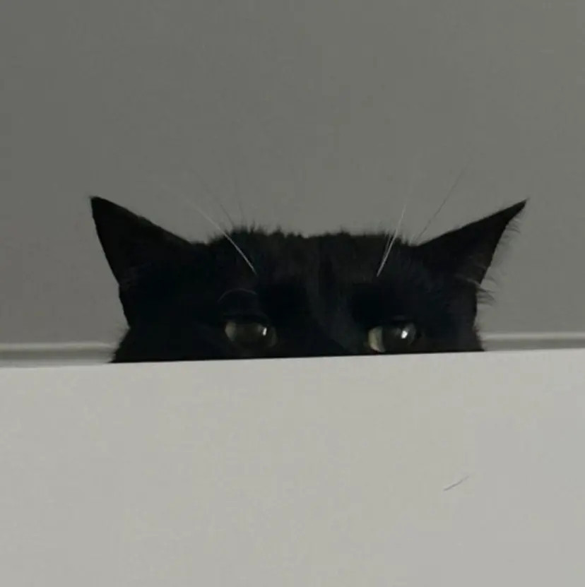 KINGDOM イナキ🌙の掲載