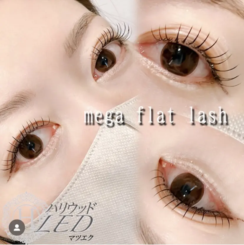 石黒 奈々恵の掲載