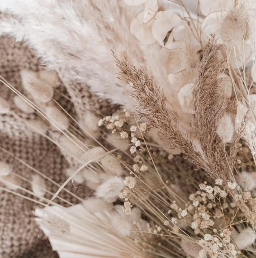 齋藤 多美の掲載