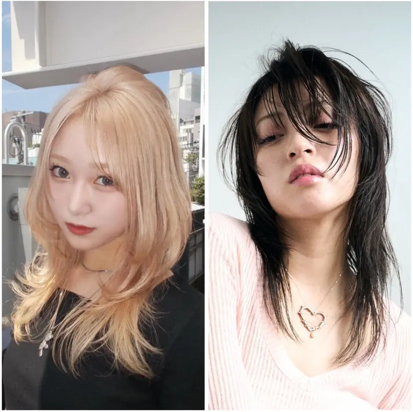 ボブ/レイヤー 🌺チャンツヨシ🌺の掲載