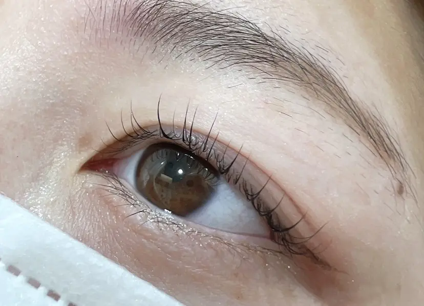 久保田 ひかりの掲載