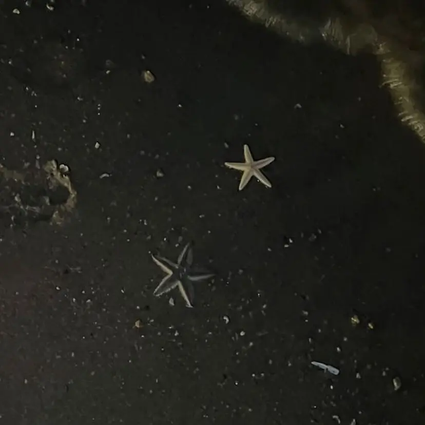 misato/レイヤ ー/暖色カラーの掲載