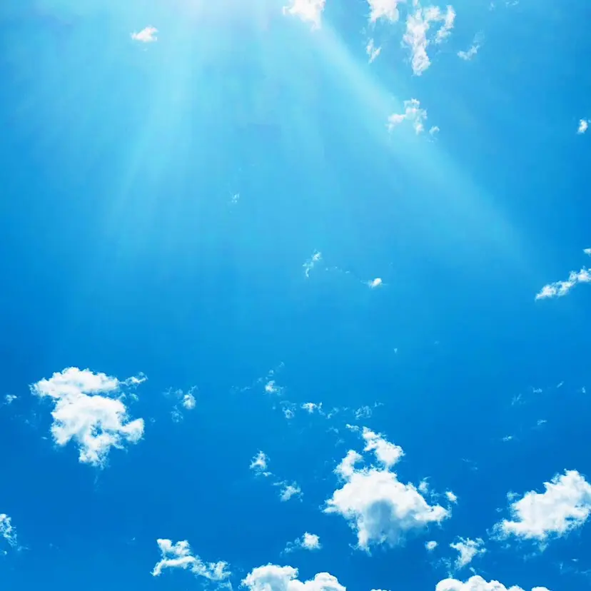 河田 ゆかりの掲載