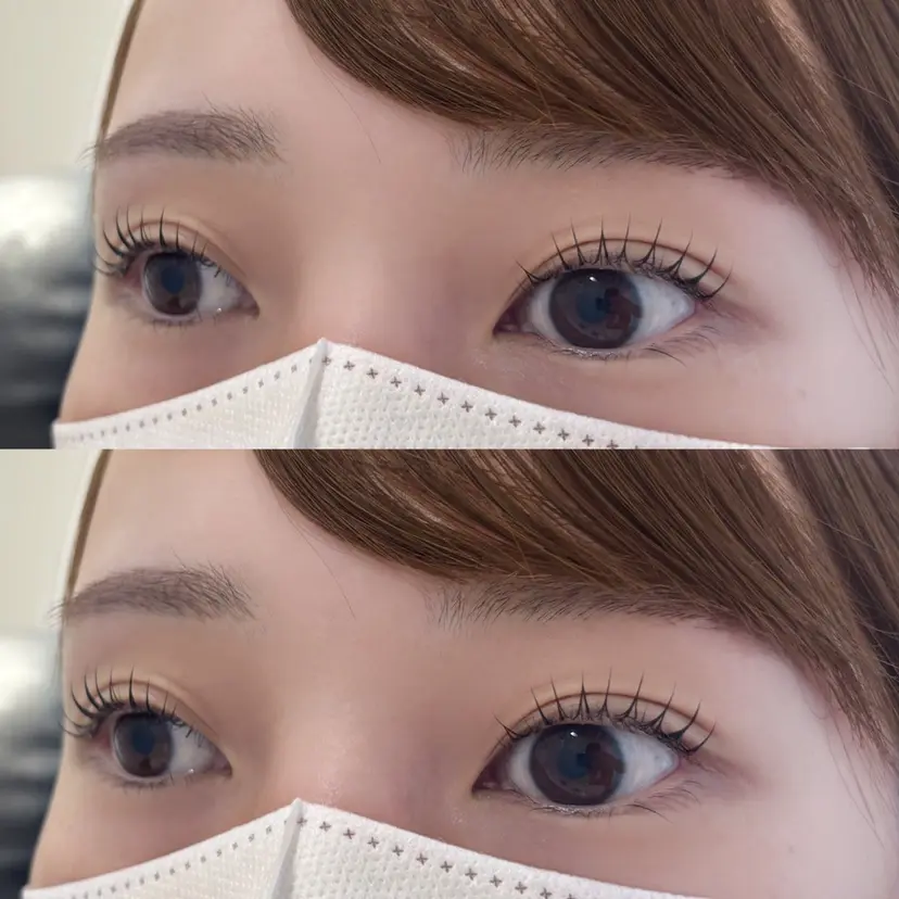 pparuda lashliftの掲載
