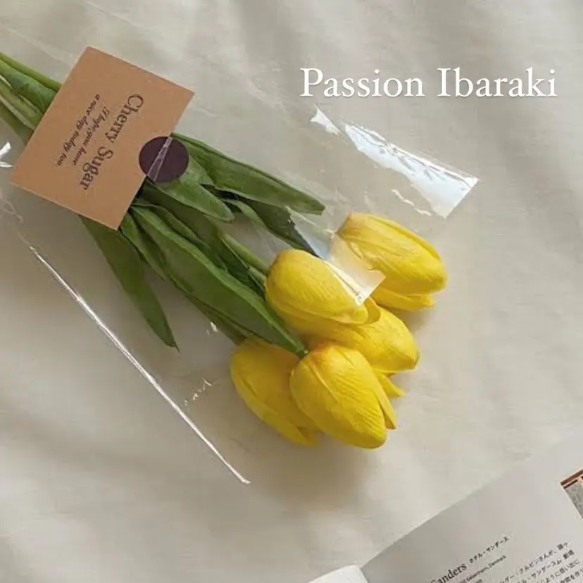 passion 茨木の掲載