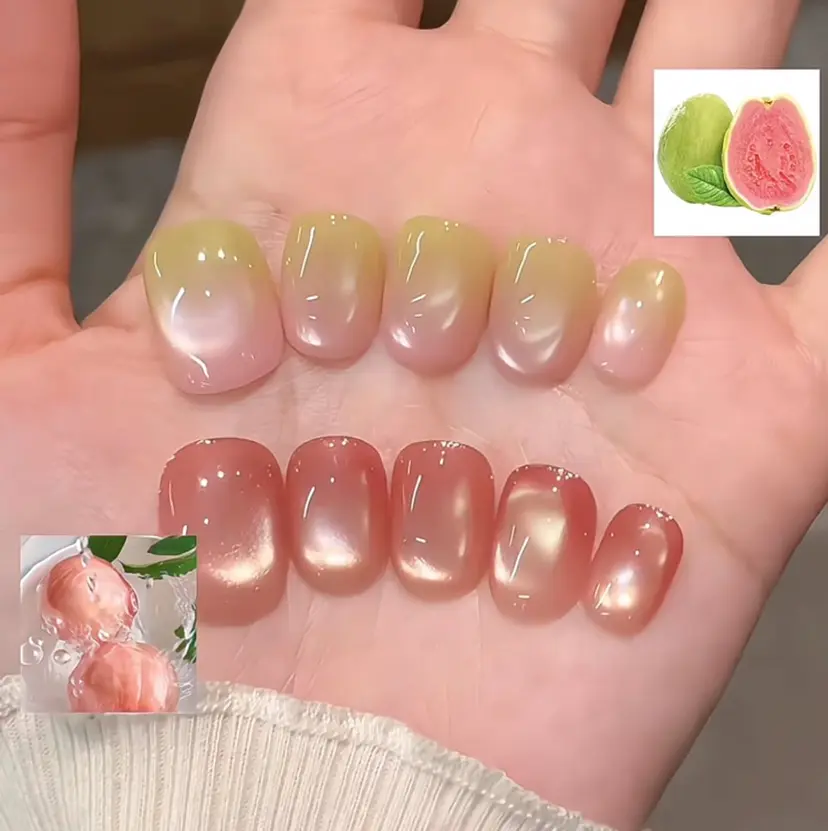 H&B せつかの掲載