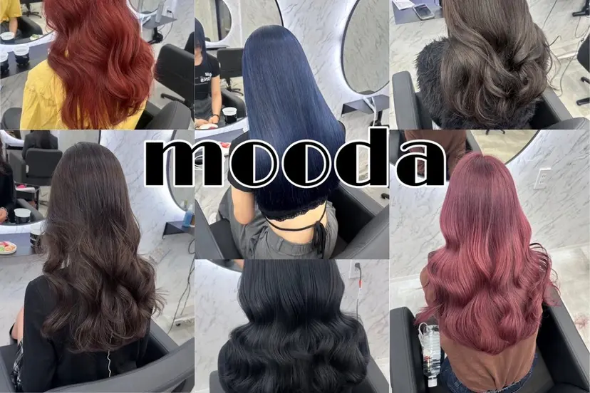 坂本 北斗の掲載