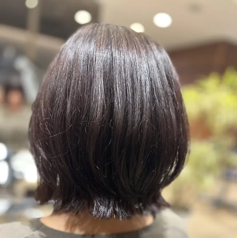 前田 陽向の掲載
