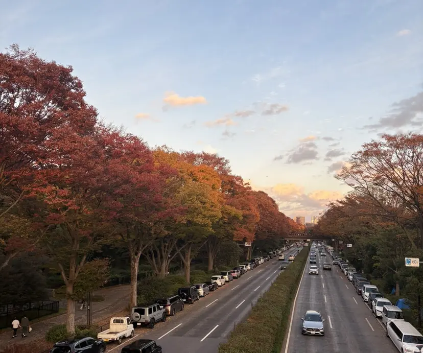 MAHAE 中司の掲載