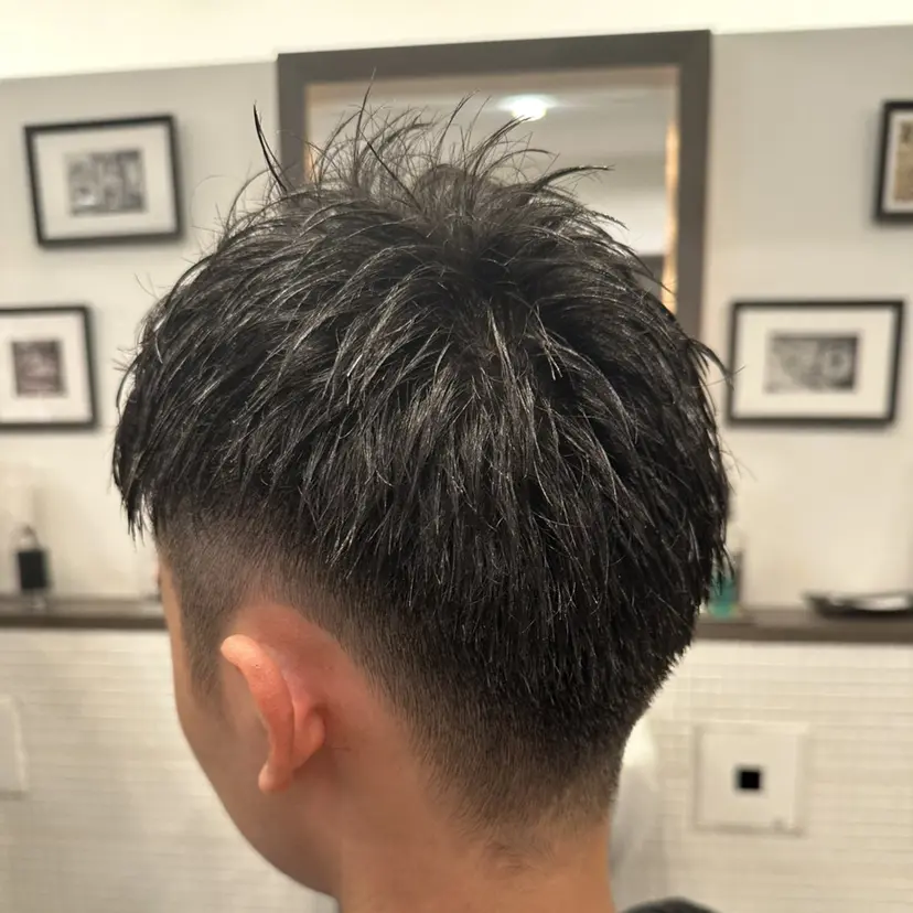 木村 朝陽の掲載