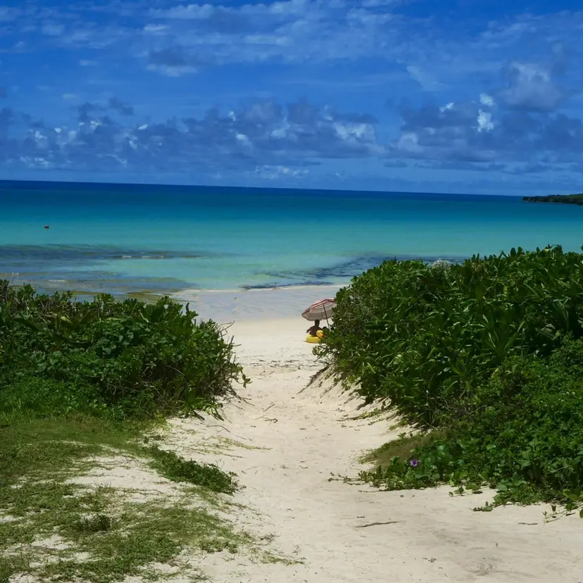 小沼 和香那の掲載