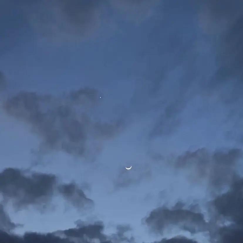 number＋ / 璃々花の掲載