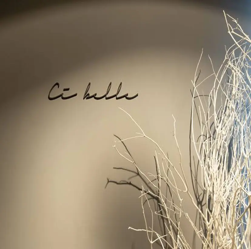 Cibelle 森岡の掲載