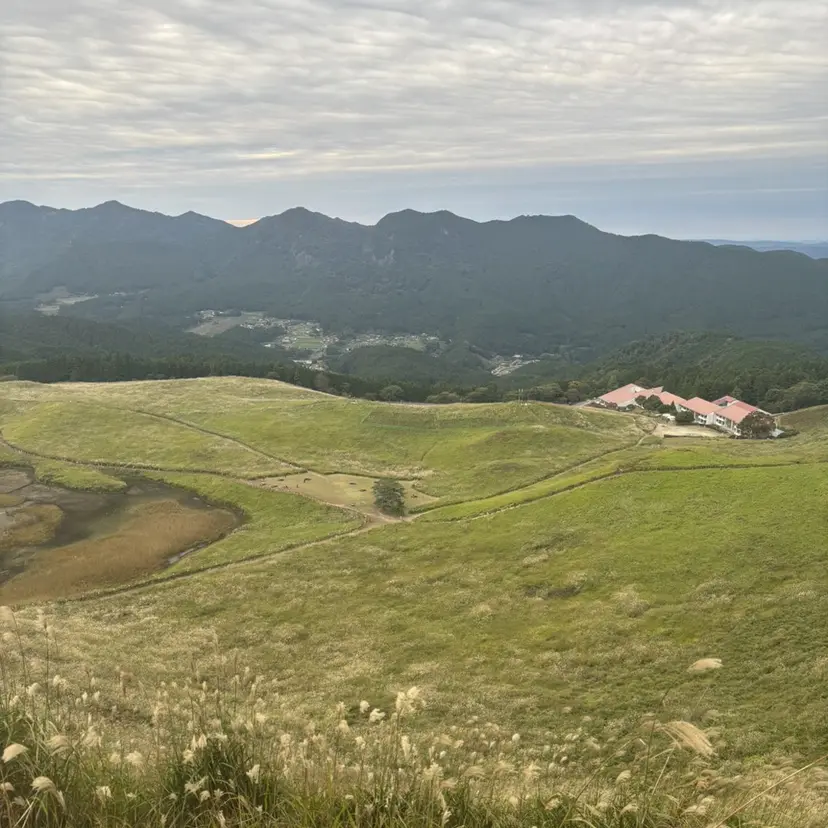 MAHAE 東芝の掲載