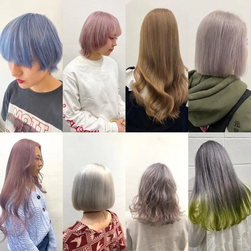 SOLA .の掲載
