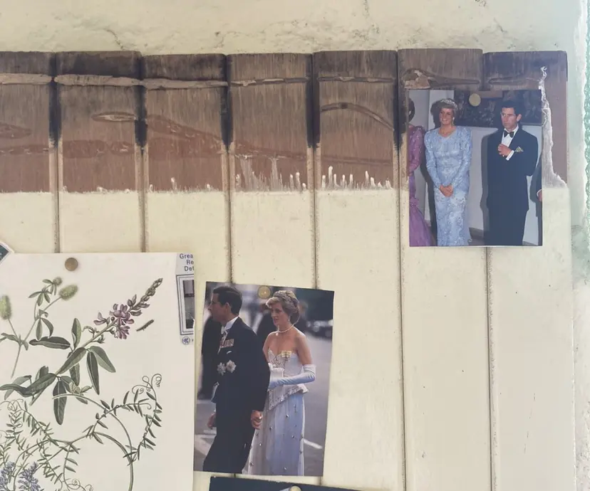 nailist 🌙kureha♡の掲載