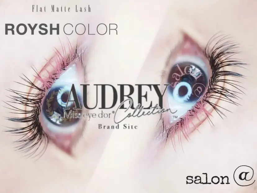 salon @の掲載