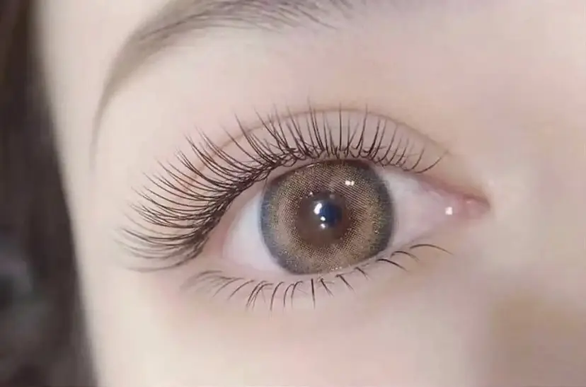 高橋 ルネの掲載