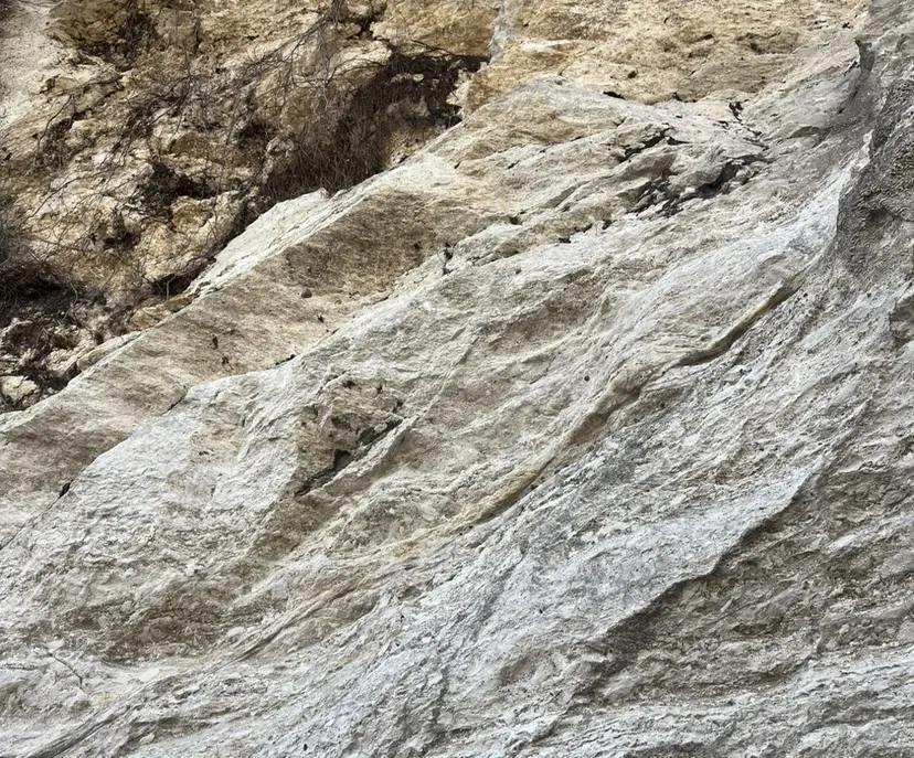 サノ アオイの掲載