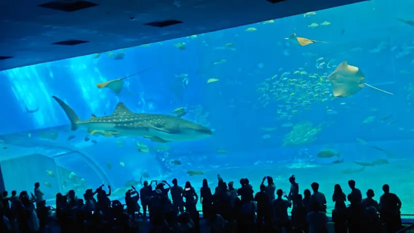 八木琉河/ハイトーン カラー/ブリーチの掲載