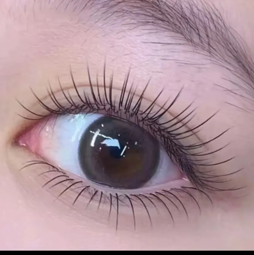 シ ロの掲載
