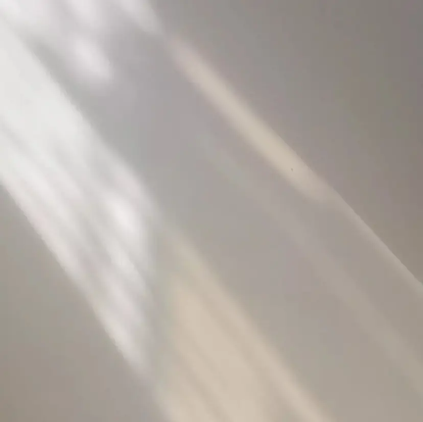 【Li.ure】 saraの掲載