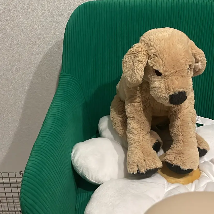 Nailist〻 mihoの掲載