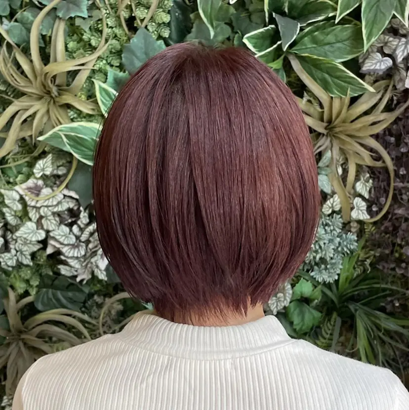 三澤 杏花の掲載