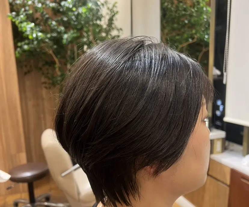 村中 逸紀の掲載