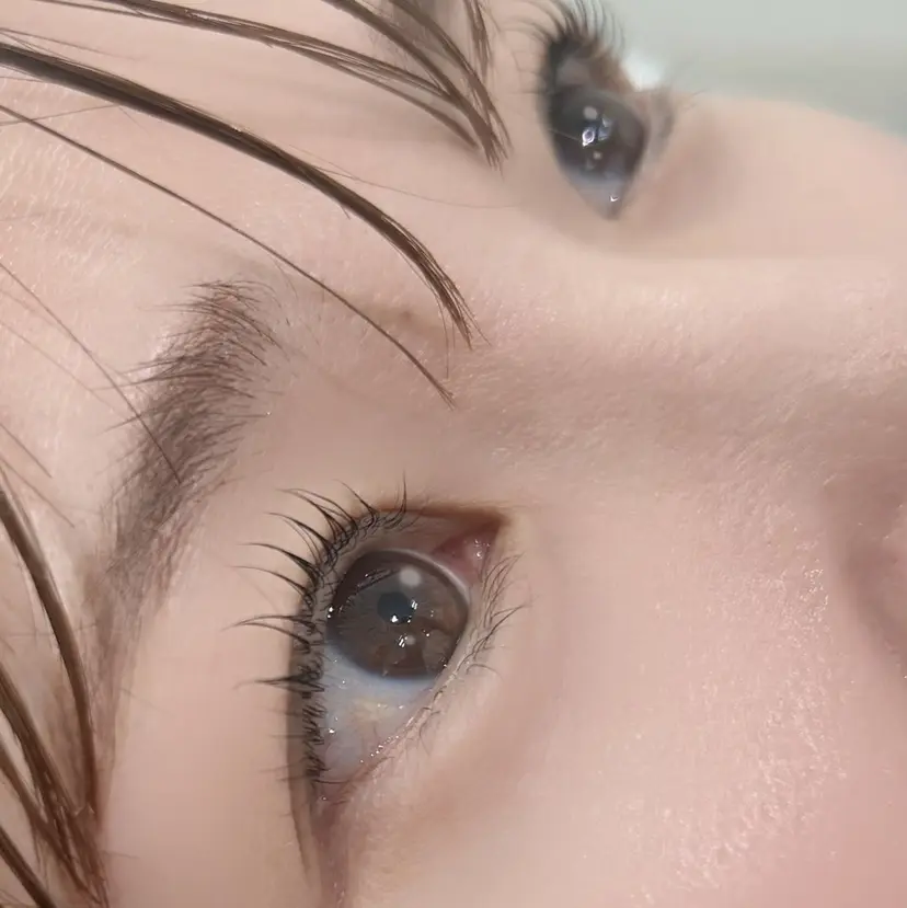 森本 由香の掲載