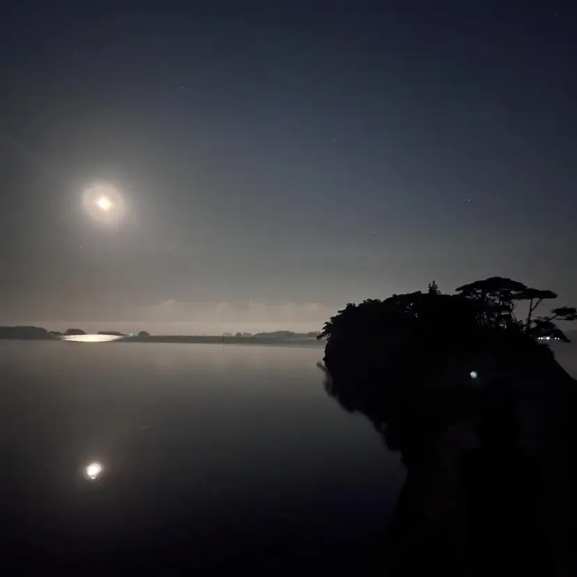 嵯峨 大地/パーマ/ ハード系/特殊系の掲載